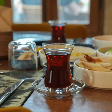 Hotel Sinasos Evleri