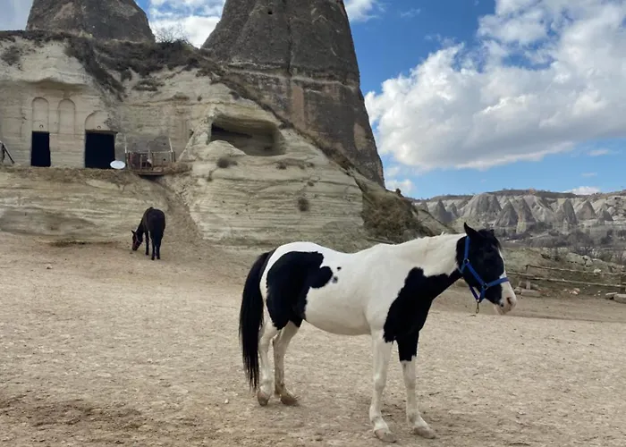 Sinasos Evleri * 네브셰히르