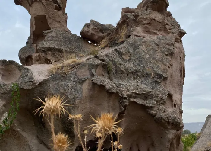 Sinasos Evleri 네브셰히르